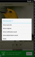 Bird Sounds Best Lite screenshot 3