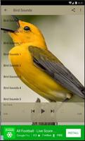 Bird Sounds Best Lite capture d'écran 2