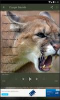 Cougar Sounds Lite screenshot 2