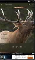 Elk Sounds Lite capture d'écran 2
