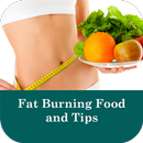Fat Burning Food and Tips APK