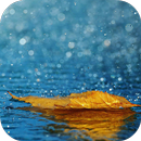 Relaxing Sounds of Rain Voices APK