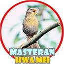 Masteran Hwamei Gacor Juara APK