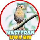 Masteran Hwamei Gacor Juara biểu tượng