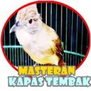 Masteran Kapas Tembak Terbaik APK