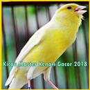 Kicau Master Kenari Gacor 2018 aplikacja