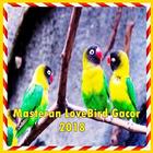 Masteran LoveBird Gacor 2018 أيقونة