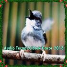 Audio Terapi Ciblek Gacor 2018 ikona