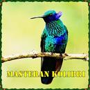Kicau Master Kolibri Gacor Mp3 aplikacja