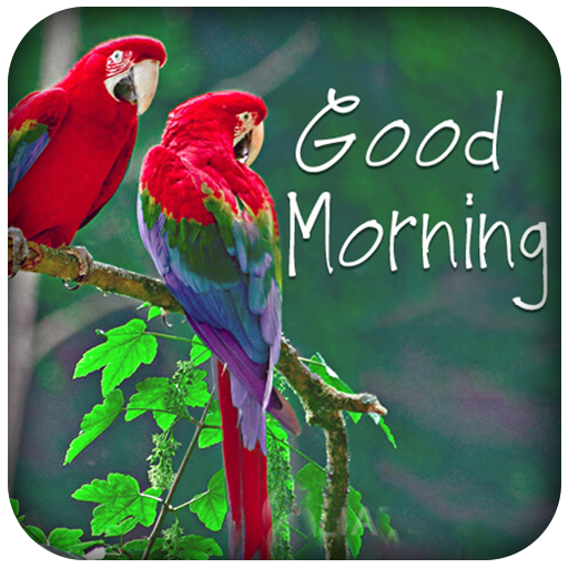Good Morning messages images
