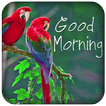 Good Morning messages images