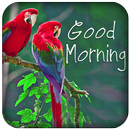 Good Morning messages images APK