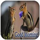 Animal Good Morning Images-APK