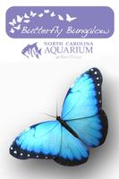 Butterfly Bungalow Affiche