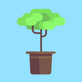 Tree Plant