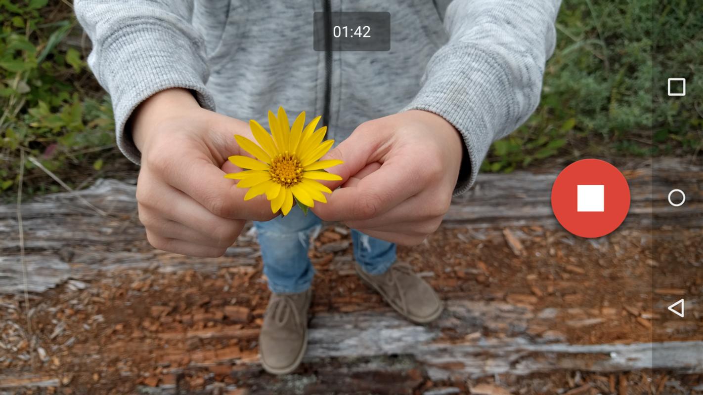 Unduh aplikasi facebook google camera blur backstage