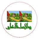 بازی تفاوت عکس ها-APK