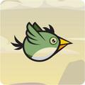 GREEN JUGLE BIRD