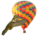 Tap bird