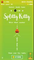 Splitty Kitty Cartaz