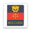 Peraturan Bea Cukai APK