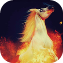 White fiery horse live wp-APK