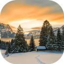 Winter sunset live wallpaper APK