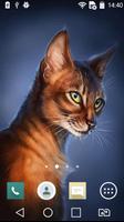 پوستر Blinking cat live wallpaper