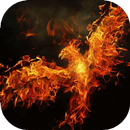 Fiery hawk live wallpaper-APK