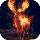 Flaming deer live wallpaper-APK