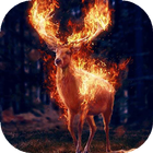 آیکون‌ Flaming deer live wallpaper