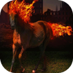 Horse with fiery mane live wp