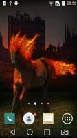 Horse with fiery mane live wp Affiche