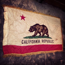 California News APK