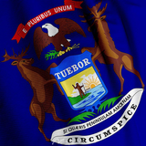 Michigan News ícone