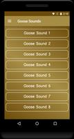 Goose Sounds โปสเตอร์