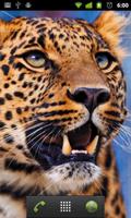 gold leopard wallpaper syot layar 1