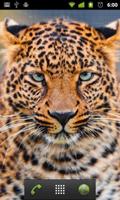 برنامه‌نما gold leopard wallpaper عکس از صفحه
