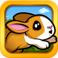 Pet Dash Racing 2.0