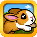 Pet Dash Racing 2.0 APK