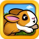 ペットダッシュ - マルチプレイ 2.0 APK
