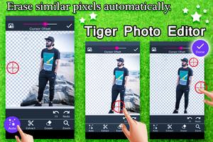 Tiger Photo Editor poster