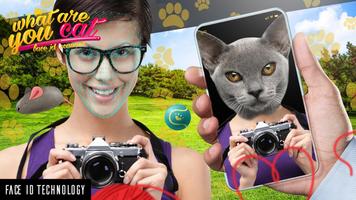 What are you cat face id scann screenshot 1