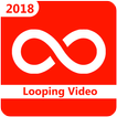 Looping Video - Video Boomerang