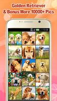 Golden Retriever Wallpaper Affiche