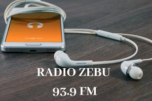 Radio Zebu FM - 93.9 FM capture d'écran 3