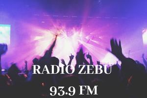 Radio Zebu FM - 93.9 FM capture d'écran 2