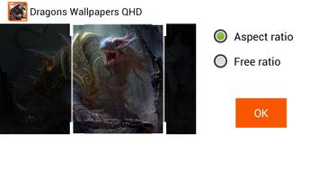Dragons Wallpapers QHD Ekran Görüntüsü 3