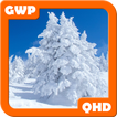 Snow Wallpapers QHD
