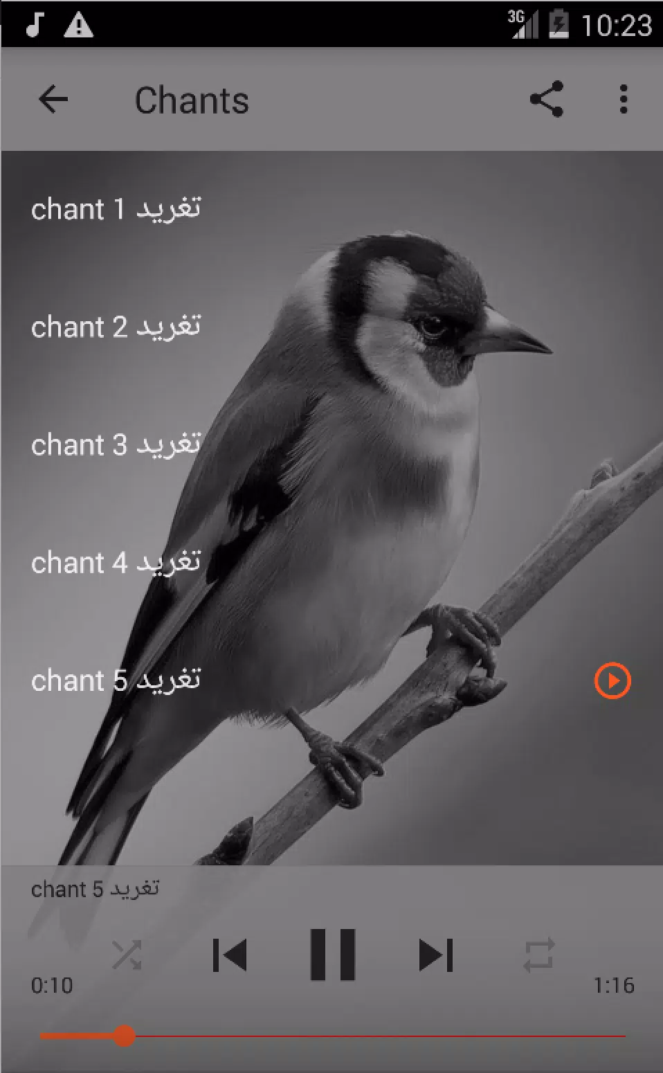 chardonneret chant gratuit APK pour Android Télécharger